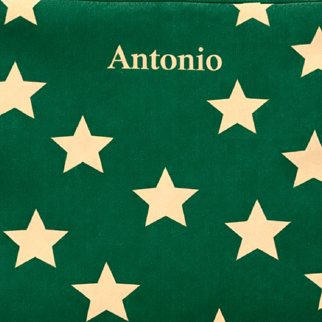 Necessaire Clutch - Estrela